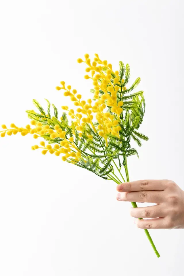 Test için eklenmiştir satın alınamaz test için eklenmiştir