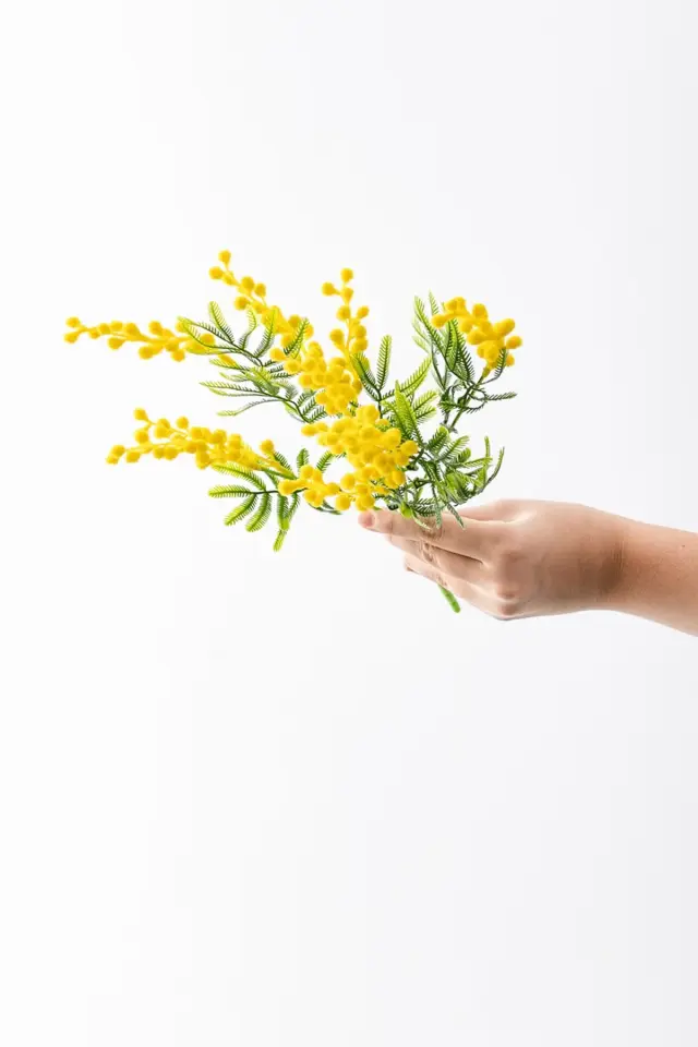 Test için eklenmiştir satın alınamaz test için eklenmiştir