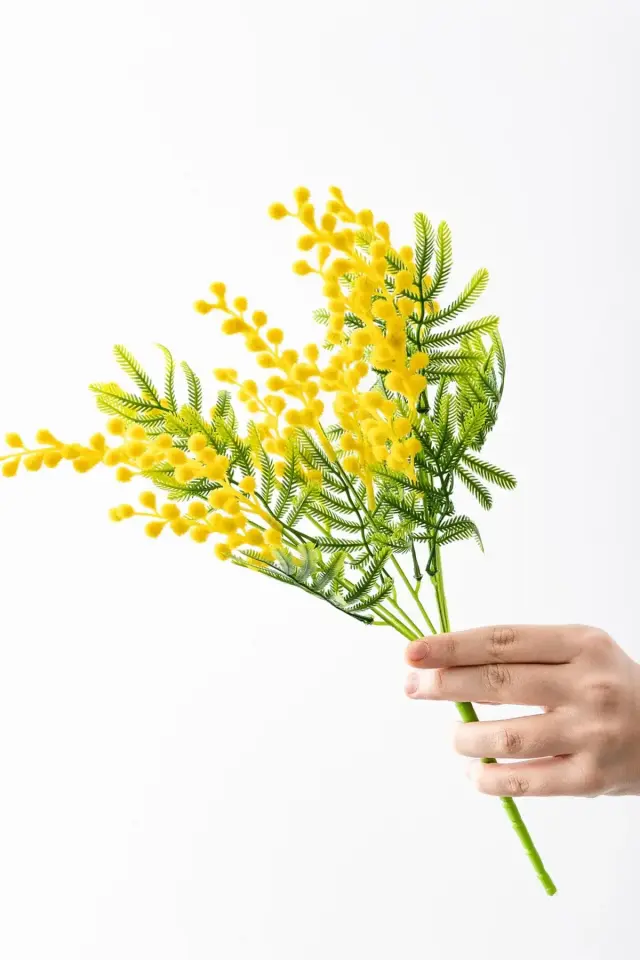 Test için eklenmiştir satın alınamaz test için eklenmiştir(Kopya)