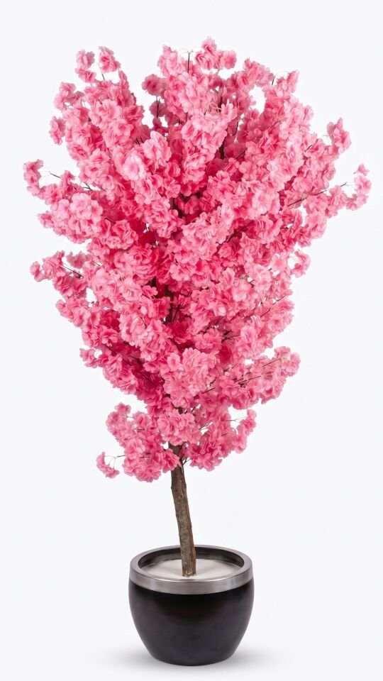 Yapay Sakura 170 CM
