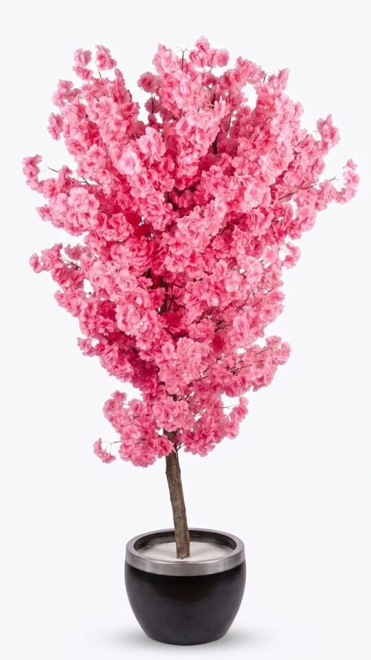 Yapay Sakura 170 CM