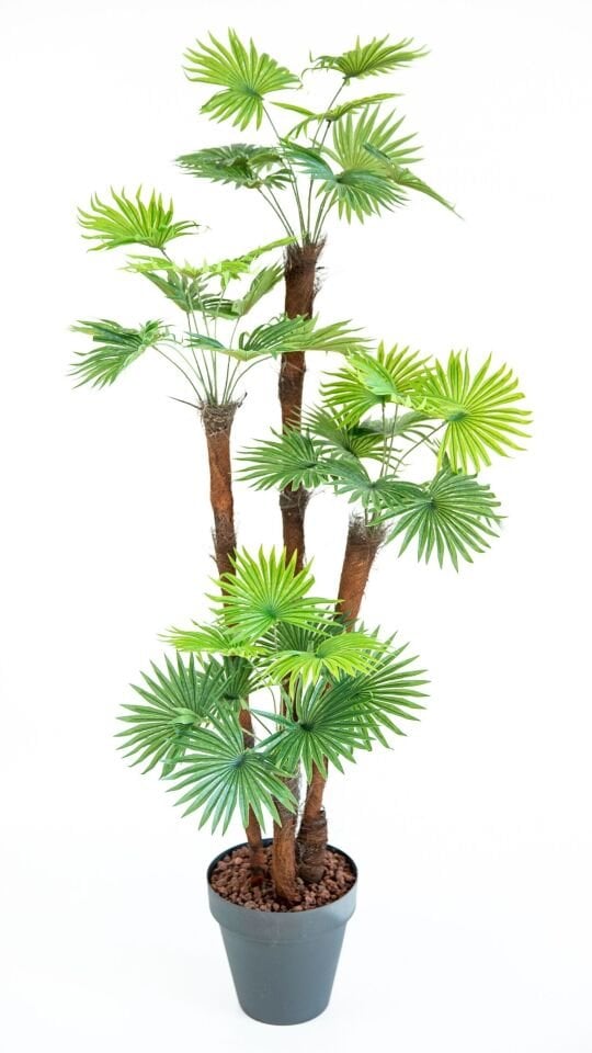 Yapay Fan Palm 170 CM