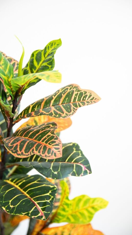 Yapay Real Touch Croton Tree 120 CM
