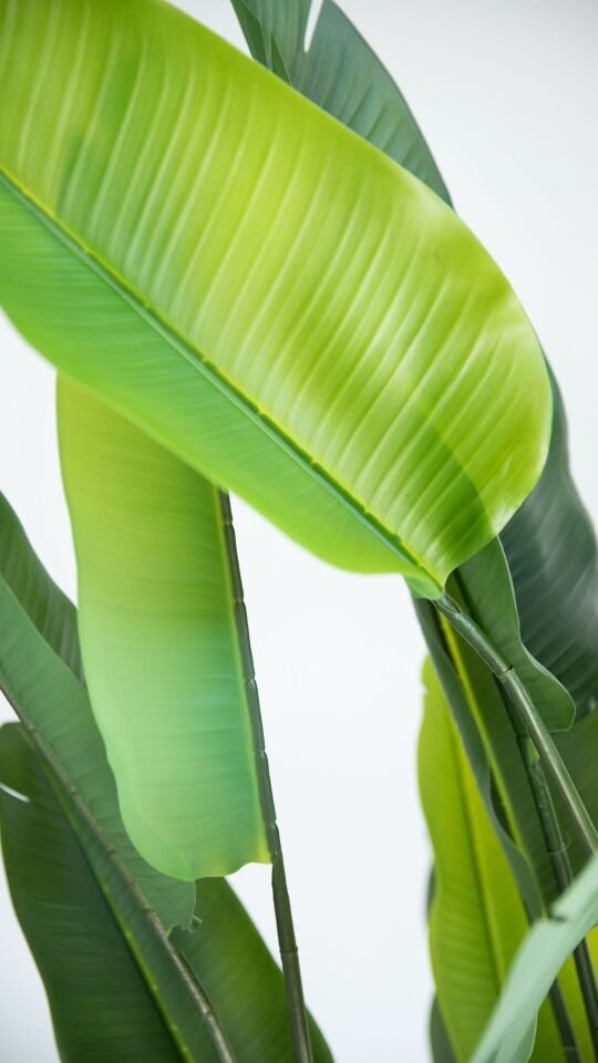 Premium Yapay Real Touch Strelitzia 180 CM
