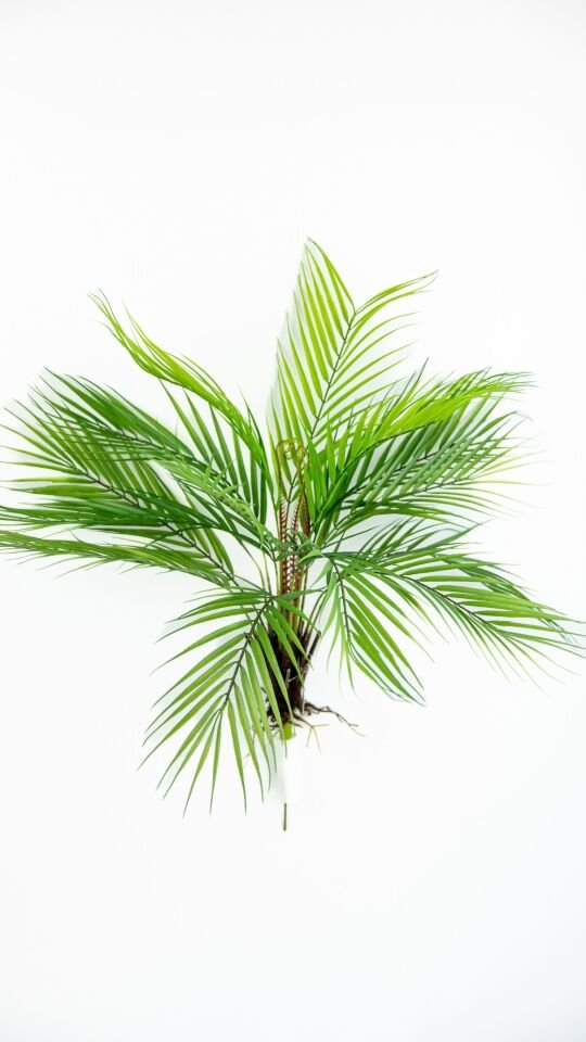Yapay Palm Tree 53 CM