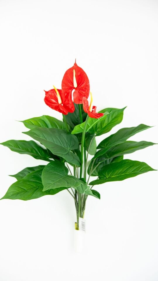 Yapay Anthurium Real Touch x 3 Flowers
