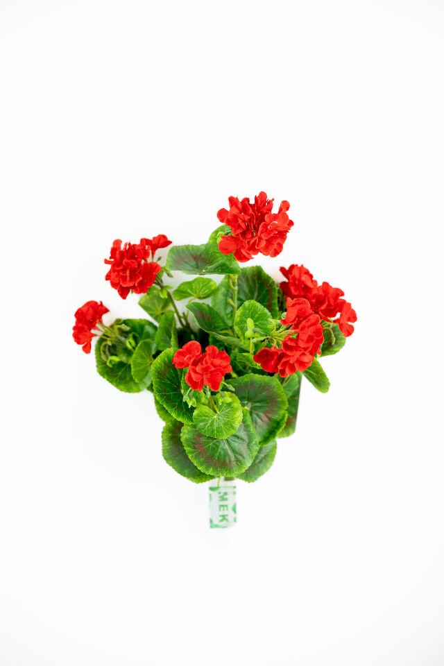 Yapay Geranium Bush 40 CM