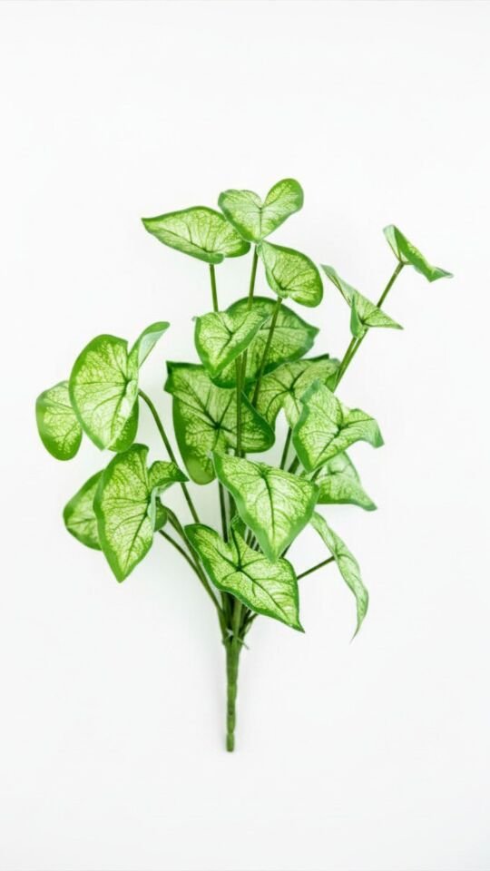 Yapay Syngonium Bunch Real Touch 46 CM