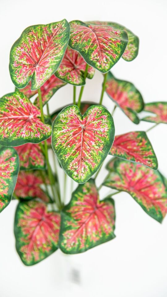 Yapay Caladium Bunch Real Touch 46 CM