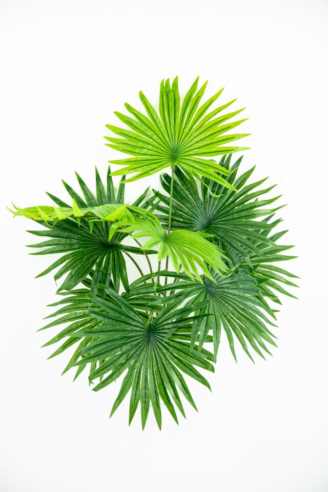Yapay Fan Palm Bunch Real Touch 48 CM