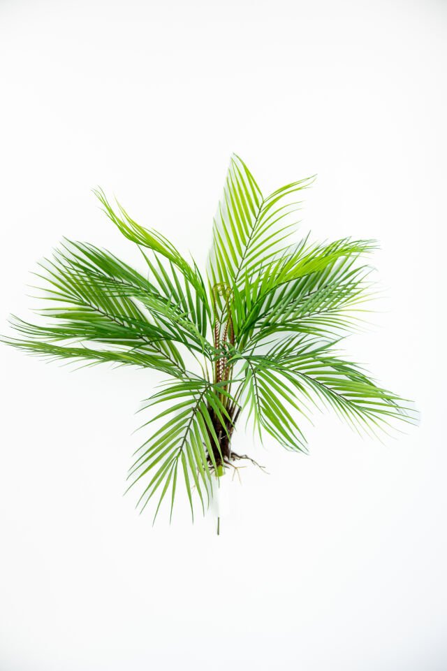 Yapay Fern Bush 55 CM