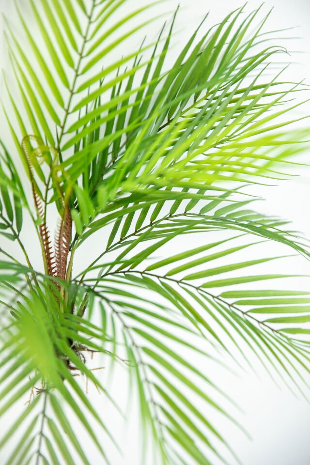 Yapay Fern Bush 55 CM