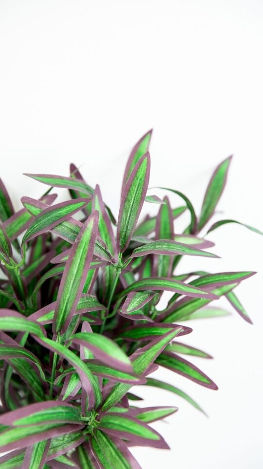 Yapay Spider Bush 12 Heads Green Purple