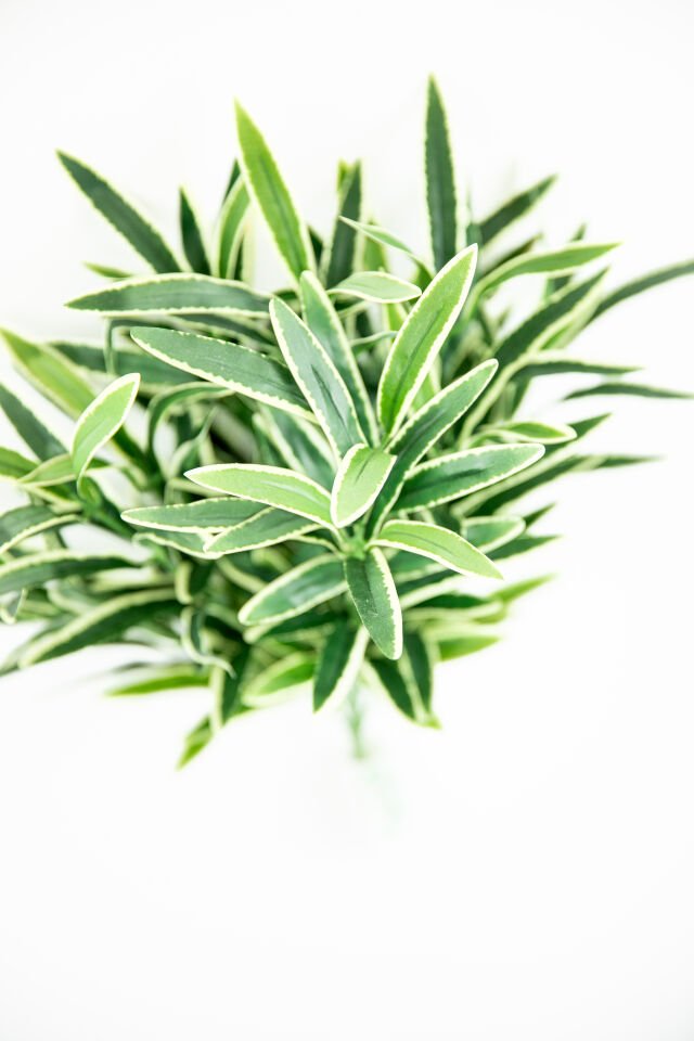 Yapay Spider Bush 12 Heads Green Yellow