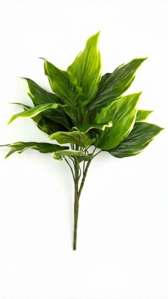 Yapay Hosta 56 CM