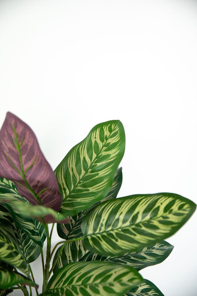 Yapay Peacock Leaf 56 CM