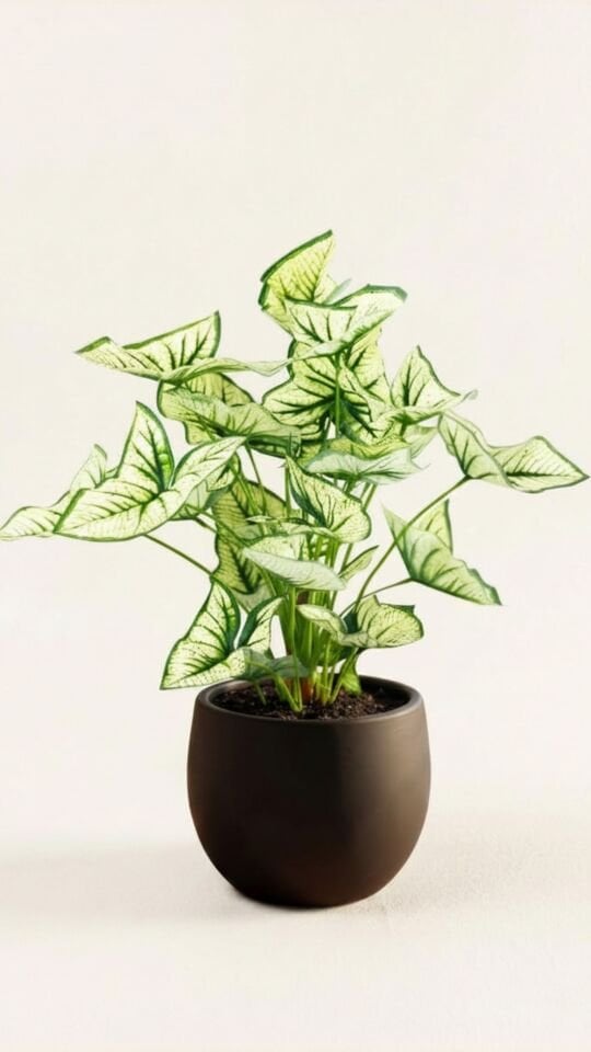 Yapay Syngonium 45 CM