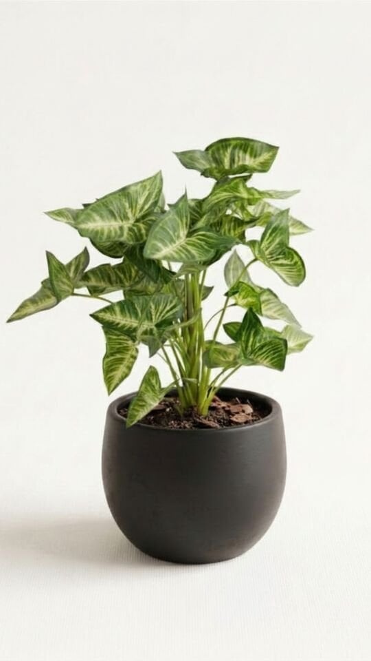 Yapay Syngonium 44 CM