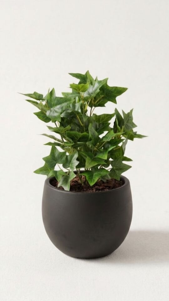 Yapay English Ivy 41 CM