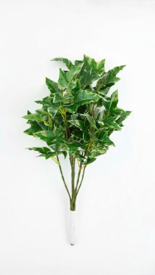 Yapay Holland Ivy 41 CM