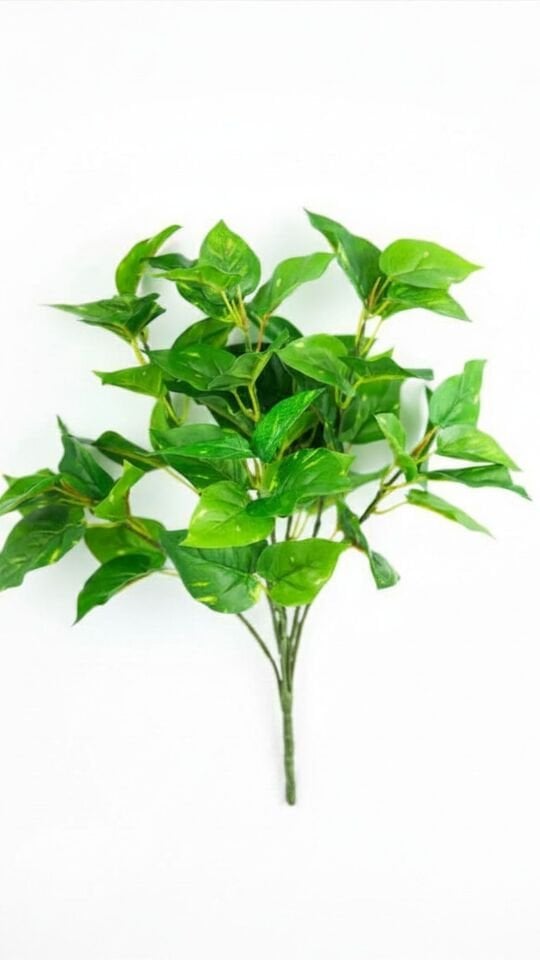 Yapay Pothos 41 CM