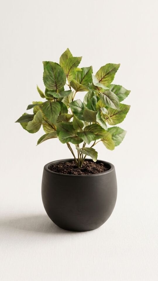 Yapay Perilla Leaf Bush 41 CM