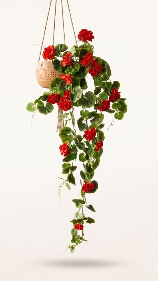 Yapay Geranium Hanging Bush Sarmaşık 105 CM