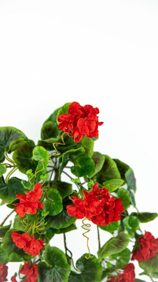 Yapay Geranium Hanging Bush Sarmaşık 105 CM