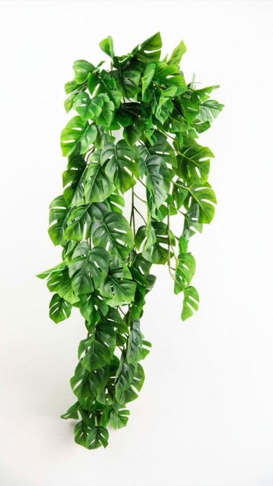 Yapay Split Philo Sarmaşık 102 CM