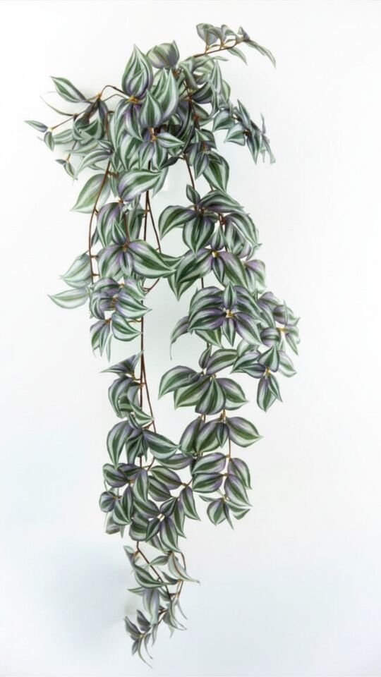 Yapay Wandering Jew Sarmaşık 107 CM