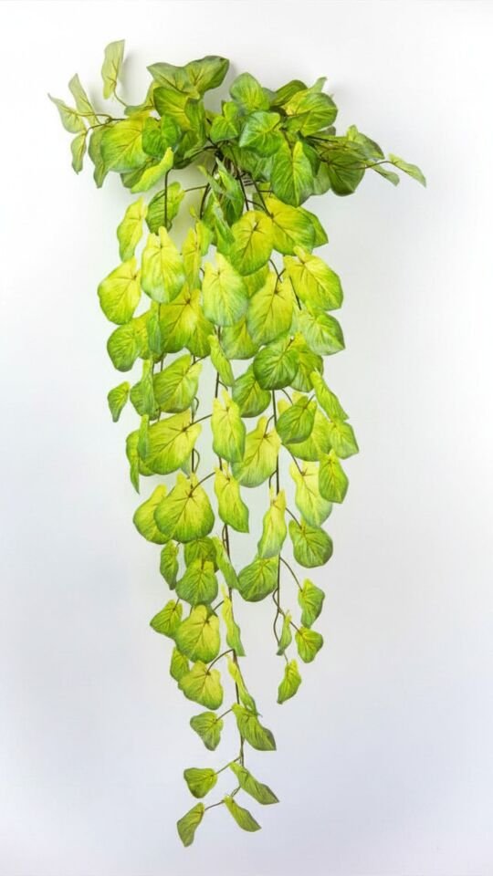 Yapay Alocasia Sarmaşık 112 CM