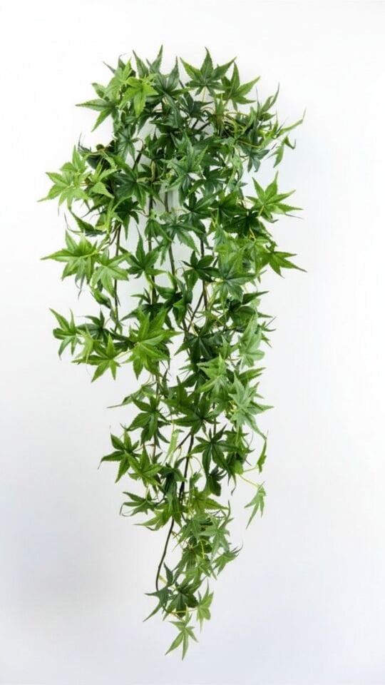 Yapay Maple Sarmaşık 97 CM