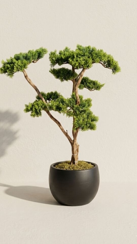 Yapay Premium Bonsai Ağacı 60-70 CM